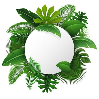 Round Sign with text space of Tropical Leaves. Suitable for nature concept, vacation, and summer holiday. Vector Illustration