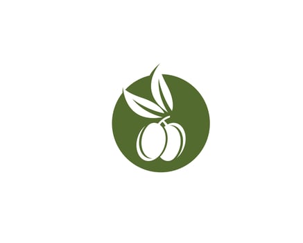 olive logo template vector icon