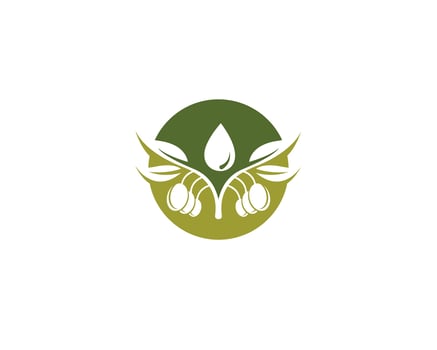 olive logo template vector icon