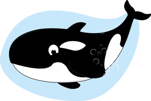 Killer Whale cartoon vector