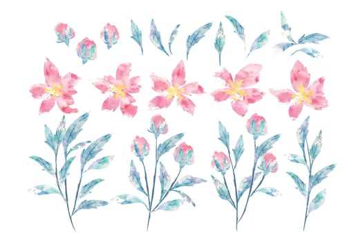 Watercolor Floral Collection vector