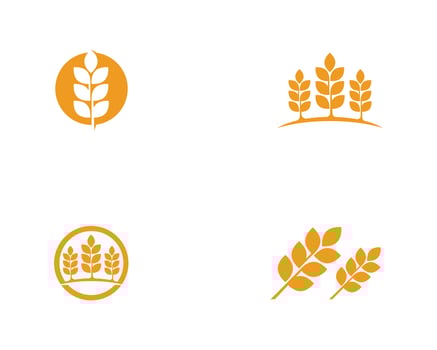 Agriculture wheat Logos vector