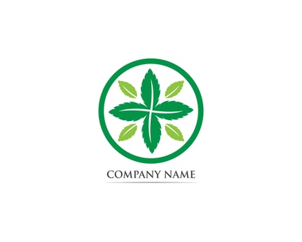 Mint leaf logo and symbol vector