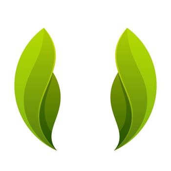 Green leaf, two leaves logo, icon. vector