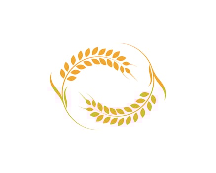 Agriculture wheat Logo Template vector icon design