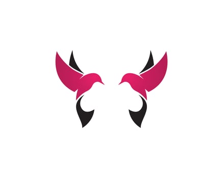 Bird logo vector template