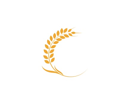 Agriculture wheat Logo Template vector icon design