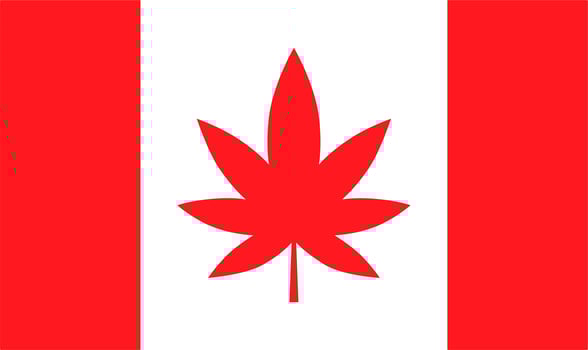 Canada flag with maijuana leaf. vector