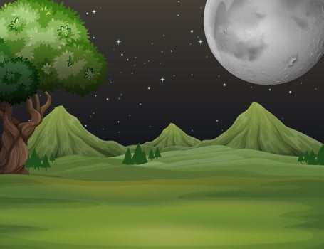 Green field at night time vector