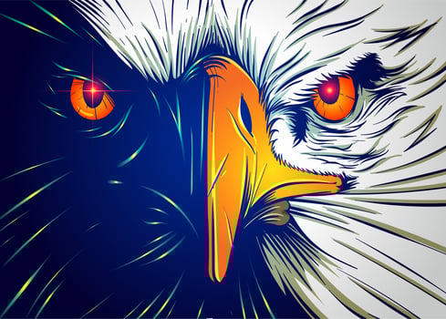 Powerful Eagle Face vector
