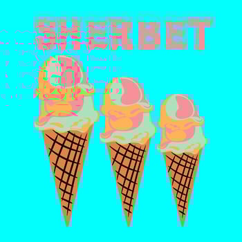 Sherbet Ice Cream vector
