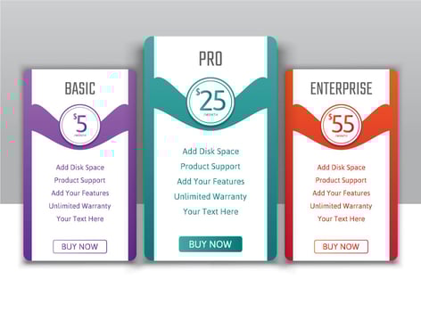 Pricing plans for websites and applications vector