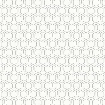 Abstract vintage black and white hexagon pattern design background. illustration vector eps10