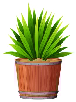A green plant in pot vector