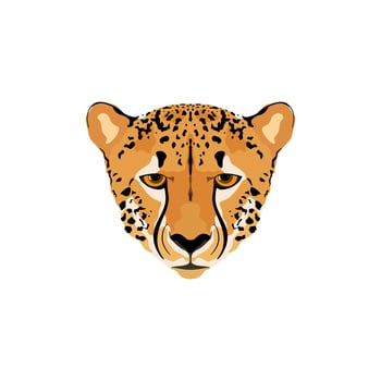 Vector illustration of a cheetah head.