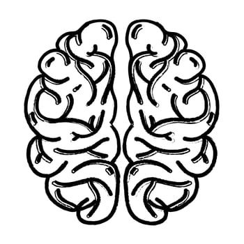 figure human brain anatomy to creative and intellect vector