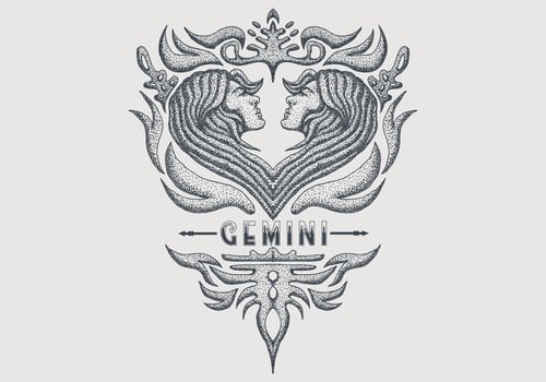 vintage gemini zodiac sign vector