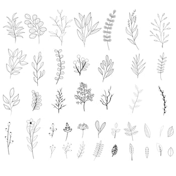 Set of leaves and branches vector