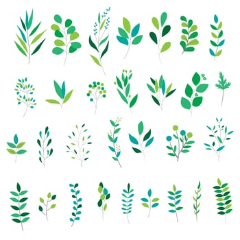 Set of different green leaves vector