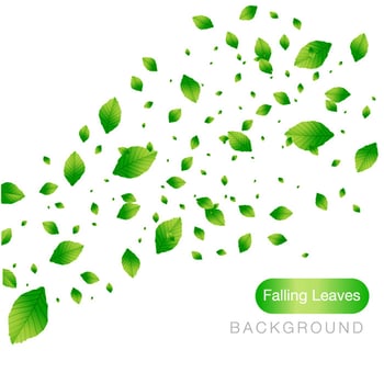 Green Falling Leaves on White Background vector