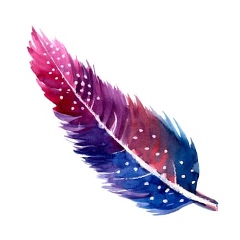 Beautiful Watercolor Feather vector