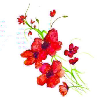 Beautiful WatercolorPink and Red Floral Arrangement vector