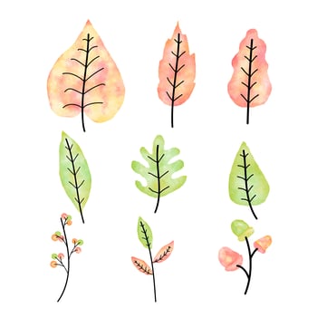 Watercolor autumn leaves set vector