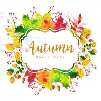 Beautiful Watercolor Autumn Leaves Frame vector