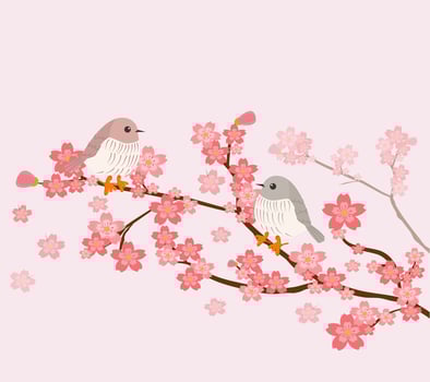 cute birds with cherry tree  vector