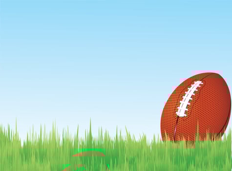 Football in grass vector