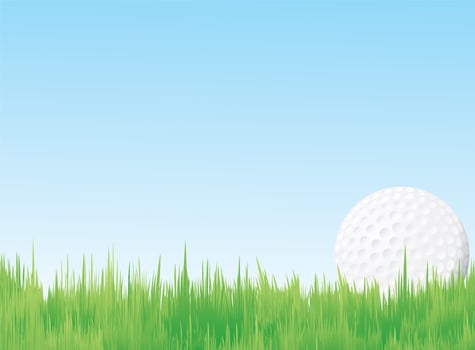 Golf ball in field  vector