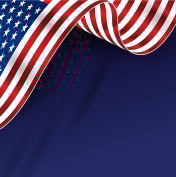 America Flag Background  vector