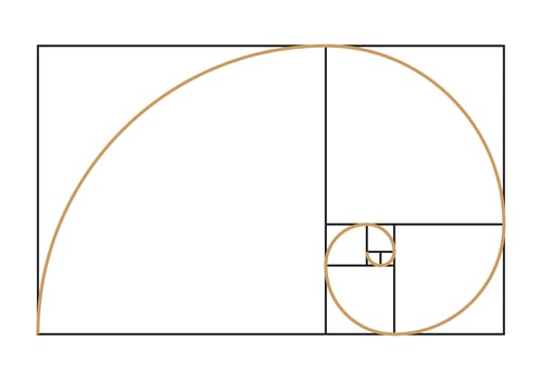 Fibonacci spiral symbol vector