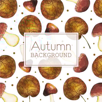 Beautiful Watercolor Autumn mushrooms vector