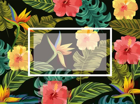 emblem with tropical flowers and leaves background vector