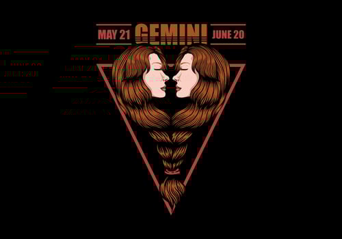 Gemini zodiac sign vector
