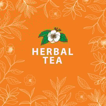 Herbal Tree. Hand drawn herbal frame on orange background, vector