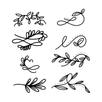 Doodle Floral Ornament Collection vector