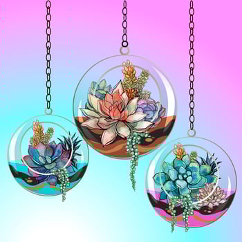 Flowers succulents in glass pots. Vector. vector