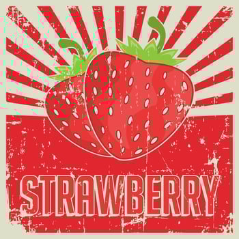 Strawberry Vintage Retro Signage  vector