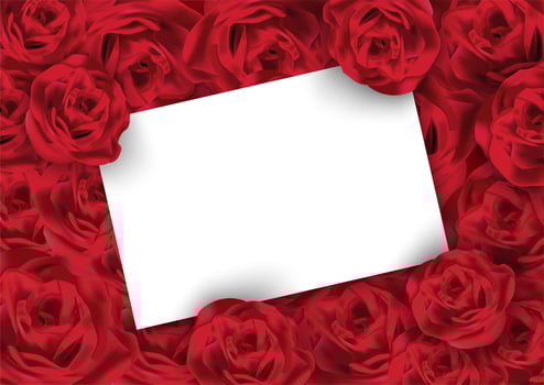 Valentines day rose background with white blank card vector