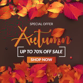 autumn sale banner background with fall leaves vector