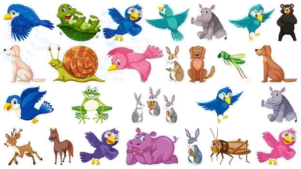 Set of animals and ornamentals  vector