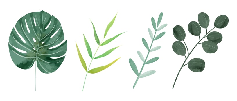 Watercolor botanic wild leaves in 4 styles vector