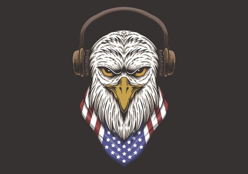 Eagle Head USA design vector