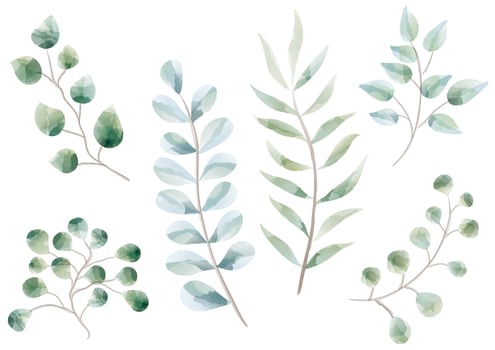 Set of Plants and Herbs in Watercolor Design vector