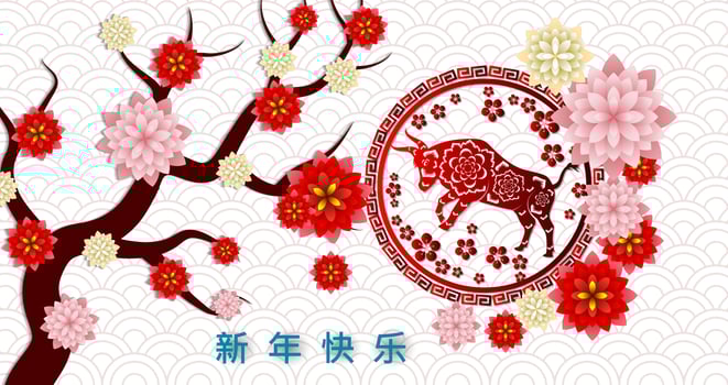 Blossom Happy Chinese New Year 2021  Poster vector