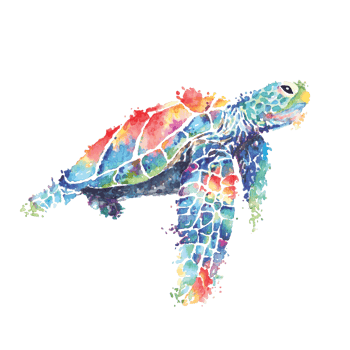 Sea turtle painted in watercolor vector