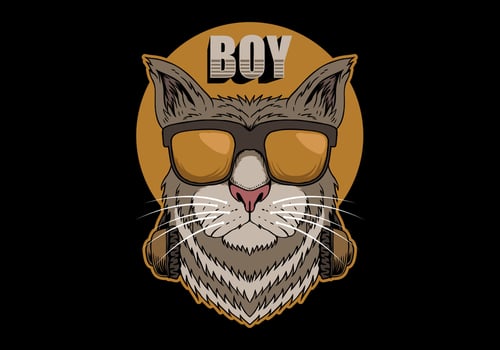Cat Boy with headphones vector