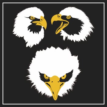 Eagle Head Set vector
